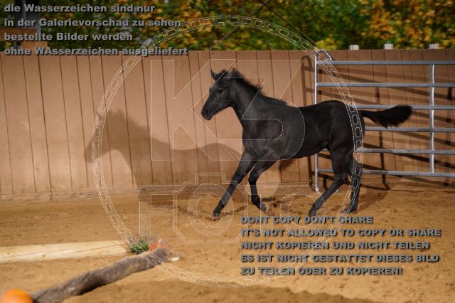 s_K3F05371.JPG